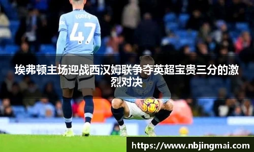 埃弗顿主场迎战西汉姆联争夺英超宝贵三分的激烈对决