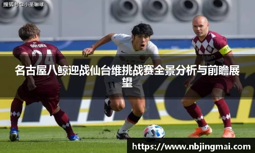 U8国际平台